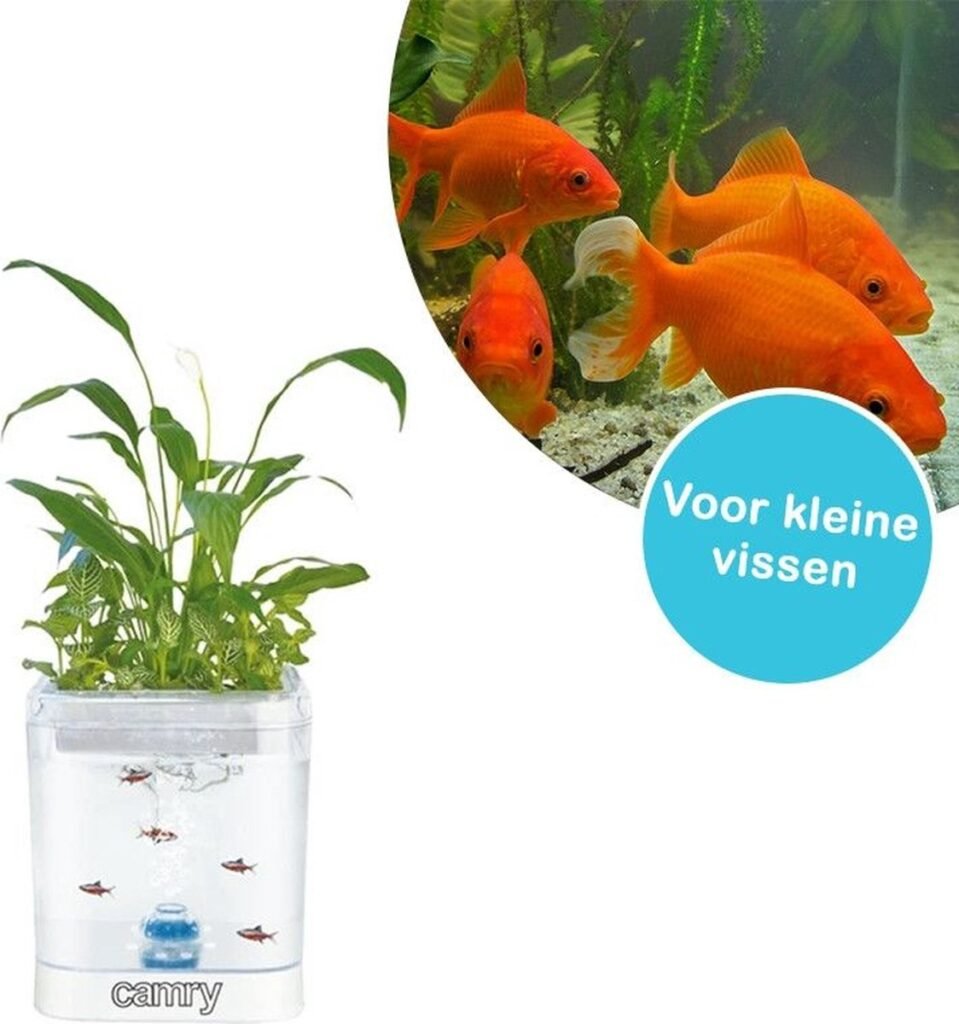 Kit Aquaponique Décoratif 7L avec Aquarium & Plantes – Écosystème Naturel LED Élégant