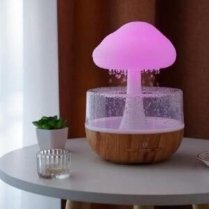 Humidificateur Nuage de Pluie et Diffuseur d'Huiles Essentielles