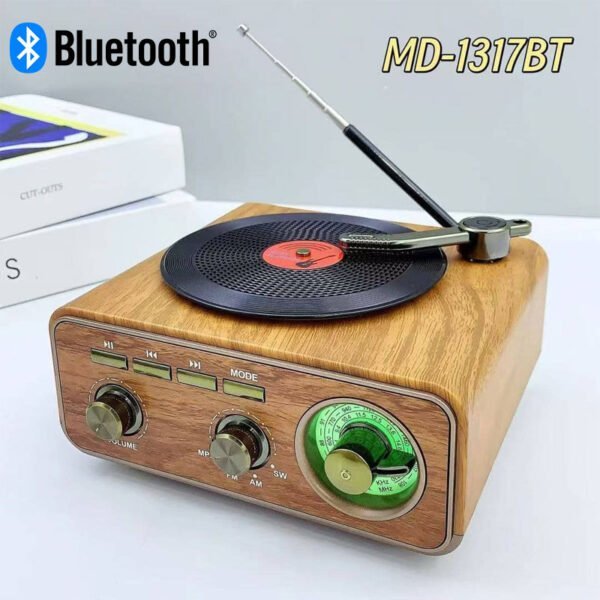 Haut-Parleur et Radio Tourne-Disque Vintage Bluetooth